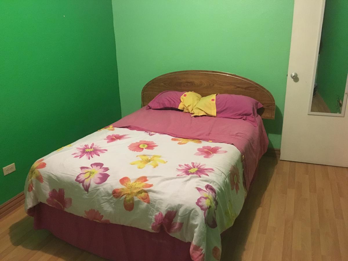 Blanquita guesthouse Manuel F. Martínez Eksteriør billede