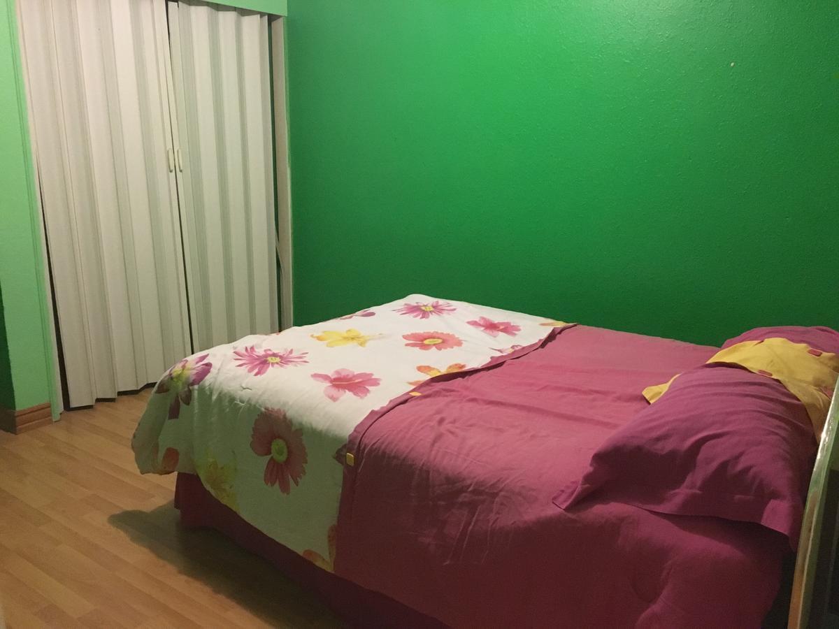 Blanquita guesthouse Manuel F. Martínez Eksteriør billede
